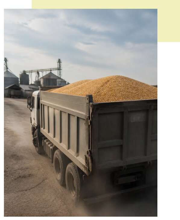 Перевозка сельхозпродукции навалом в Лыткарино по цене от 3073 р. | Агросервис-Лтк